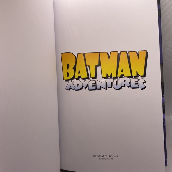 Batman Adventures DC Comics Phantasm Strikes! By Dan Slott Hardcover - Picture 4 of 15